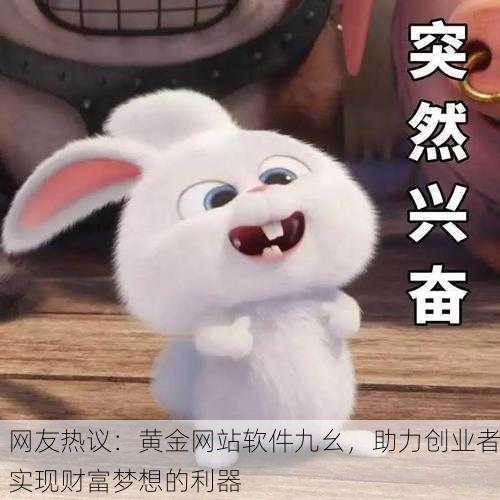 网友热议：黄金网站软件九幺，助力创业者实现财富梦想的利器