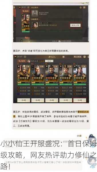 小小仙王开服盛况：首日保姆级攻略，网友热评助力修仙之路！