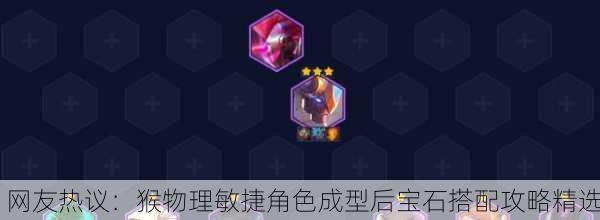 网友热议：猴物理敏捷角色成型后宝石搭配攻略精选
