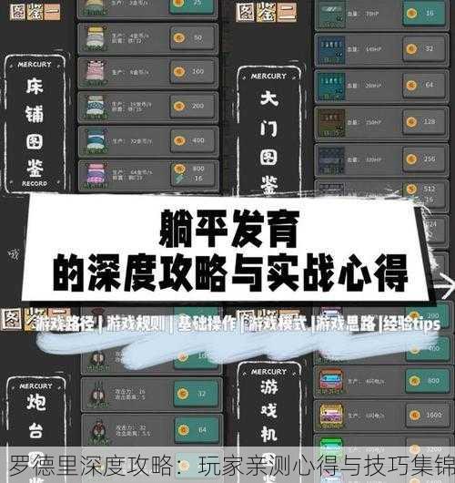 罗德里深度攻略：玩家亲测心得与技巧集锦