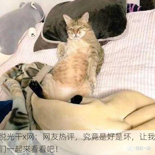 脱光干x网：网友热评，究竟是好是坏，让我们一起来看看吧！