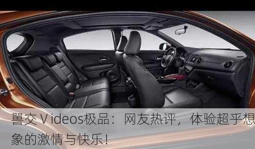 嘼交Ⅴideos极品：网友热评，体验超乎想象的激情与快乐！