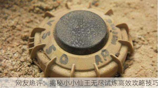 网友热评：揭秘小小仙王无尽试炼高效攻略技巧