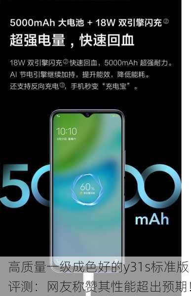 高质量一级成色好的y31s标准版评测：网友称赞其性能超出预期！