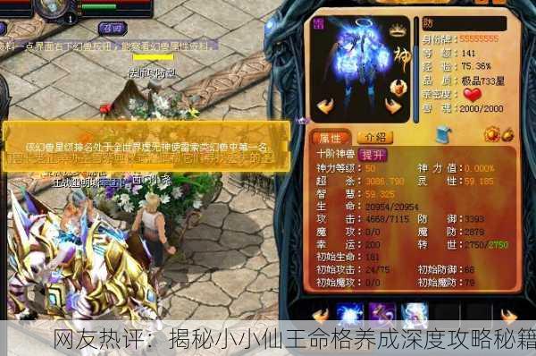 网友热评：揭秘小小仙王命格养成深度攻略秘籍