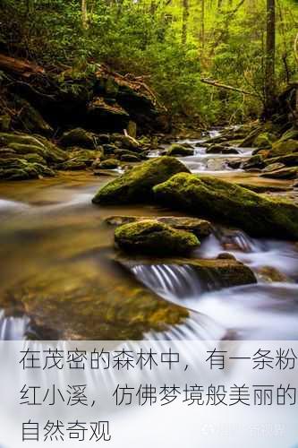 在茂密的森林中，有一条粉红小溪，仿佛梦境般美丽的自然奇观