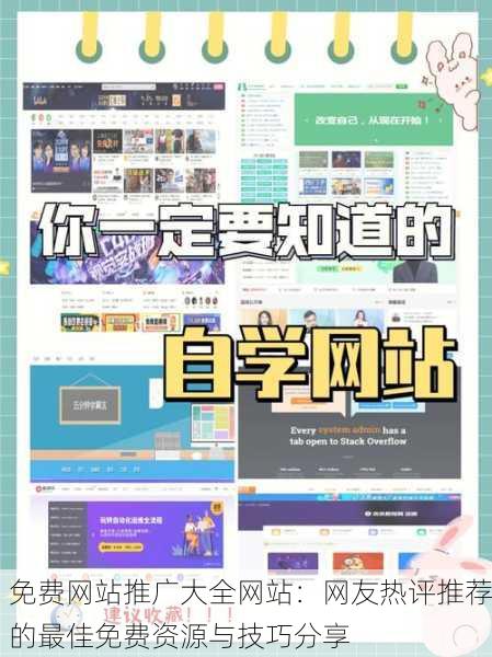 免费网站推广大全网站：网友热评推荐的最佳免费资源与技巧分享