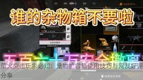 萤火突击玩家必知：宠物扩容箱使用技巧与网友好评分享