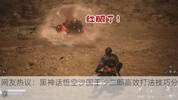 网友热议：黑神话悟空沙国王沙二郎高效打法技巧分享