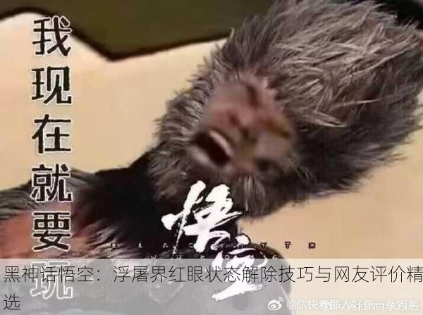 黑神话悟空：浮屠界红眼状态解除技巧与网友评价精选