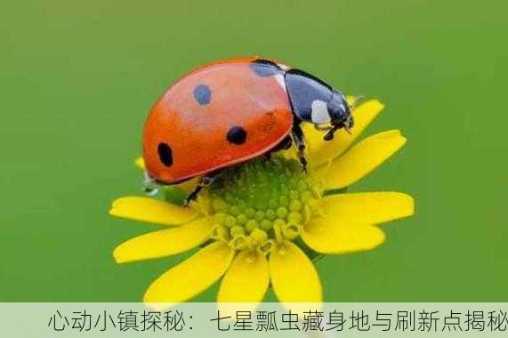 心动小镇探秘：七星瓢虫藏身地与刷新点揭秘