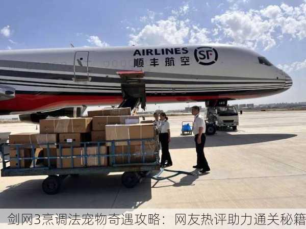 剑网3烹调法宠物奇遇攻略：网友热评助力通关秘籍