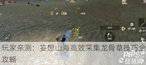 玩家亲测：妄想山海高效采集龙骨草技巧全攻略