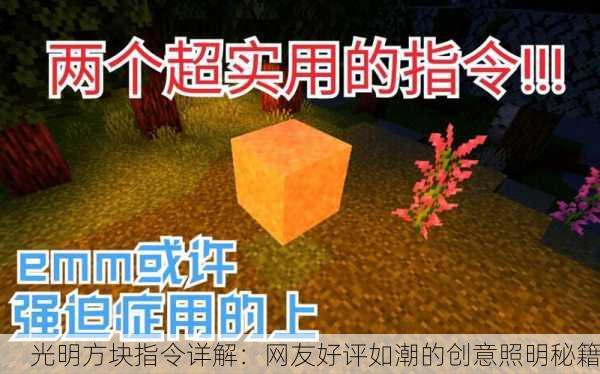 光明方块指令详解：网友好评如潮的创意照明秘籍