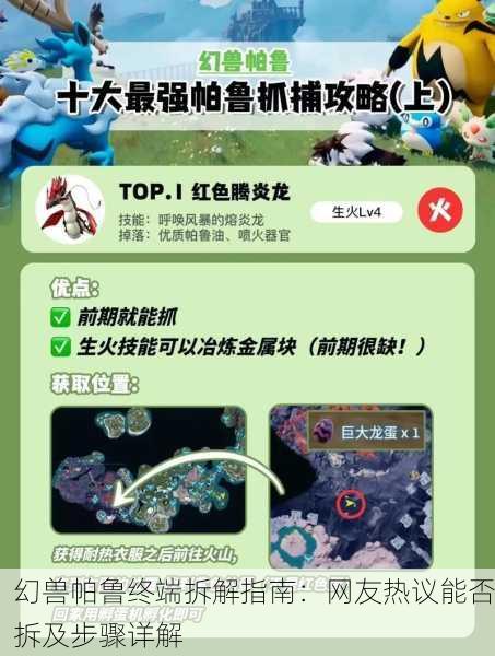 幻兽帕鲁终端拆解指南：网友热议能否拆及步骤详解