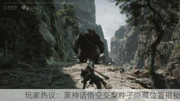 玩家热议：黑神话悟空交梨种子隐藏位置揭秘