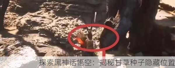 探索黑神话悟空：揭秘甘草种子隐藏位置
