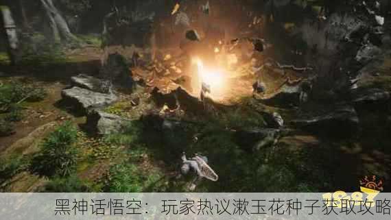 黑神话悟空：玩家热议漱玉花种子获取攻略