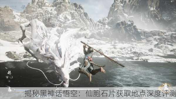 揭秘黑神话悟空：仙胞石片获取地点深度评测