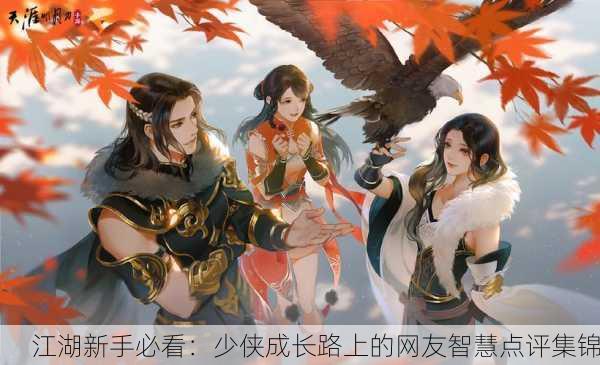 江湖新手必看：少侠成长路上的网友智慧点评集锦