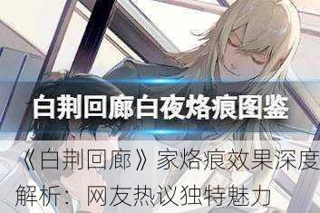 《白荆回廊》家烙痕效果深度解析：网友热议独特魅力