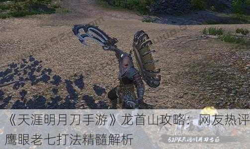 《天涯明月刀手游》龙首山攻略：网友热评鹰眼老七打法精髓解析