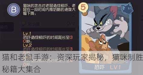 猫和老鼠手游：资深玩家揭秘，猫咪制胜秘籍大集合