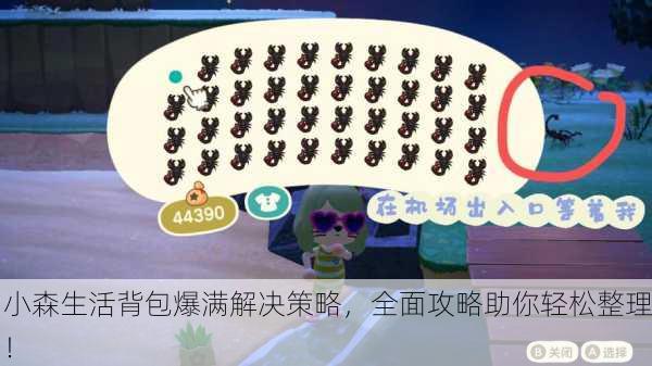 小森生活背包爆满解决策略，全面攻略助你轻松整理！