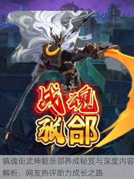 镇魂街武神躯张郃养成秘笈与深度内容解析，网友热评助力成长之路
