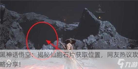 黑神话悟空：揭秘仙胞石片获取位置，网友热议攻略分享！