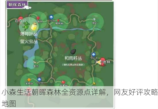 小森生活朝晖森林全资源点详解，网友好评攻略地图