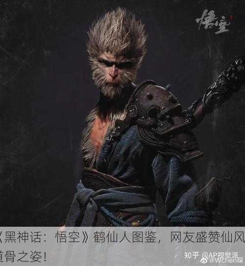 《黑神话：悟空》鹤仙人图鉴，网友盛赞仙风道骨之姿！