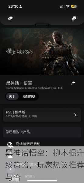 黑神话悟空：柳木棍升级策略，玩家热议推荐与否