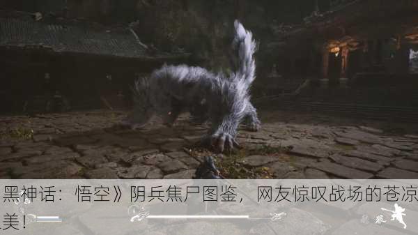 《黑神话：悟空》阴兵焦尸图鉴，网友惊叹战场的苍凉之美！