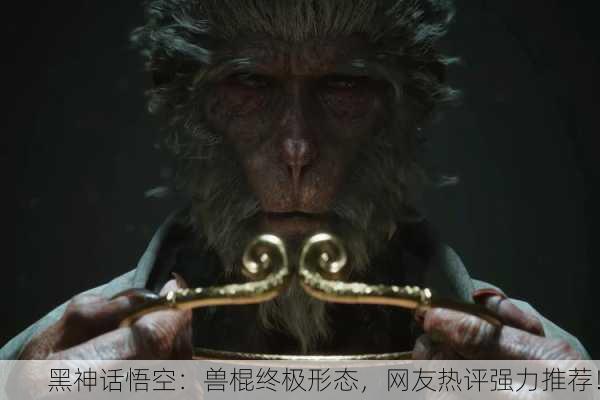 黑神话悟空：兽棍终极形态，网友热评强力推荐！
