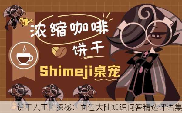 饼干人王国探秘：面包大陆知识问答精选评语集