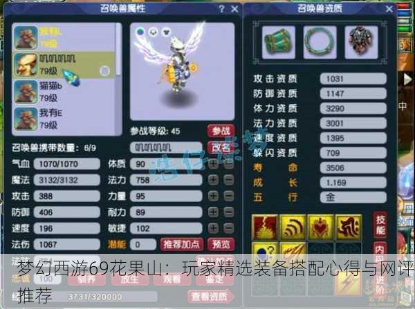 梦幻西游69花果山：玩家精选装备搭配心得与网评推荐