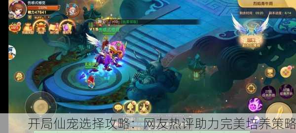 开局仙宠选择攻略：网友热评助力完美培养策略