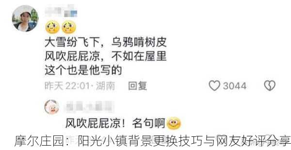 摩尔庄园：阳光小镇背景更换技巧与网友好评分享