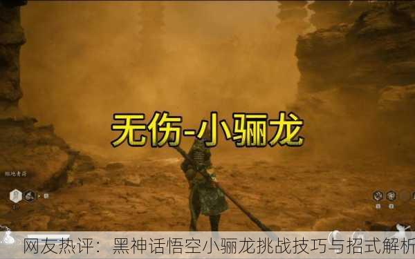 网友热评：黑神话悟空小骊龙挑战技巧与招式解析