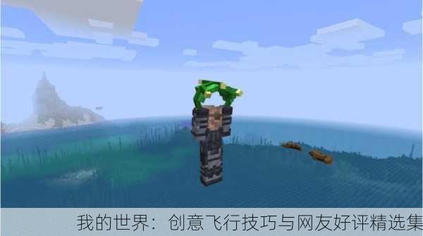 我的世界：创意飞行技巧与网友好评精选集