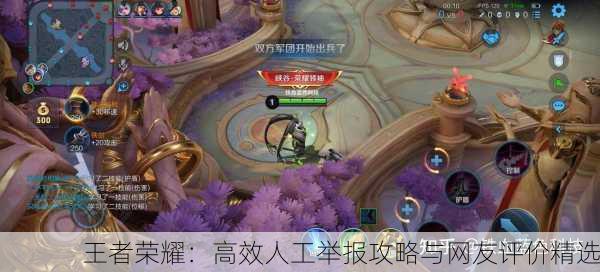 王者荣耀：高效人工举报攻略与网友评价精选