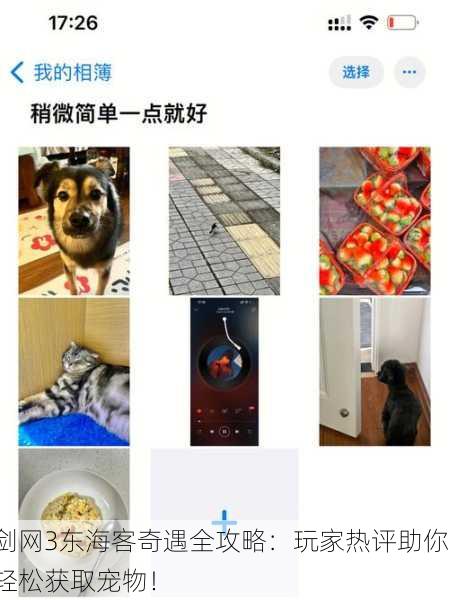 剑网3东海客奇遇全攻略：玩家热评助你轻松获取宠物！