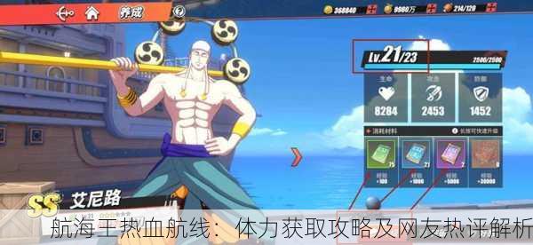 航海王热血航线：体力获取攻略及网友热评解析