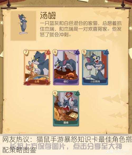 网友热议：猫鼠手游暴怒知识卡最佳角色搭配策略图鉴