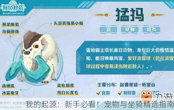 我的起源：新手必看！宠物与坐骑精选指南