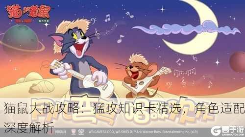 猫鼠大战攻略：猛攻知识卡精选，角色适配深度解析
