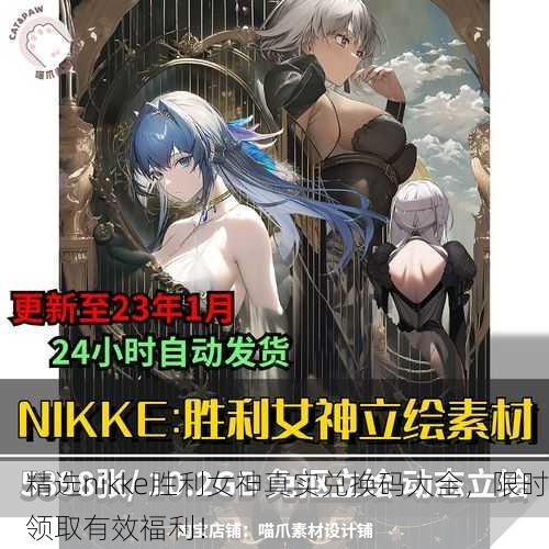 精选nikke胜利女神真实兑换码大全，限时领取有效福利！