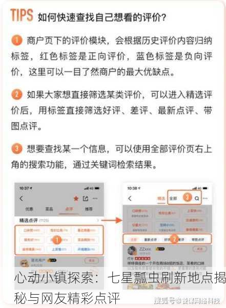 心动小镇探索：七星瓢虫刷新地点揭秘与网友精彩点评