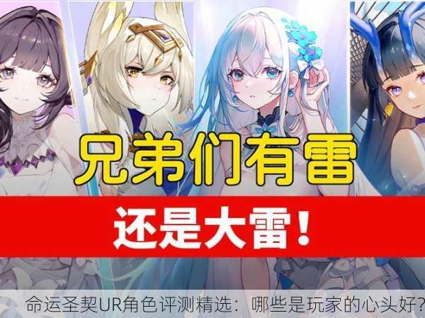 命运圣契UR角色评测精选：哪些是玩家的心头好？